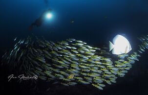 Arkipelago Divers and Beach Resort