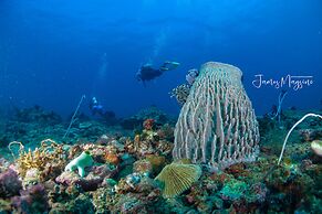 Arkipelago Divers and Beach Resort