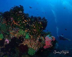 Arkipelago Divers and Beach Resort