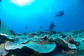 Arkipelago Divers and Beach Resort