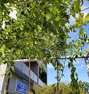 Yue Mei B&B