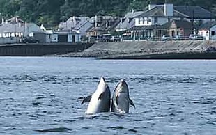 North Kessock Hotel