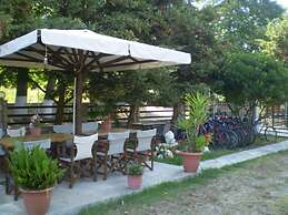 Dodis Village