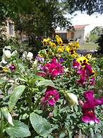 Jordan Valley Birding Lodge