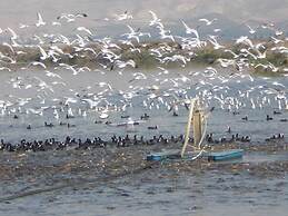Jordan Valley Birding Lodge