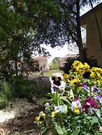 Jordan Valley Birding Lodge