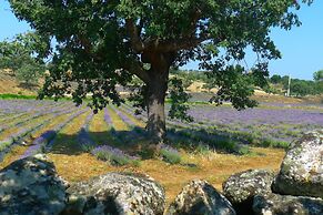 Quinta das Lavandas