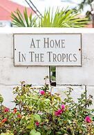At Home in the Tropics