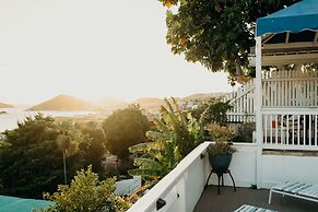 At Home in the Tropics