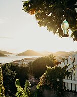At Home in the Tropics