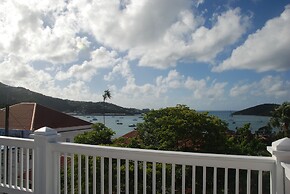 At Home in the Tropics