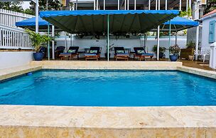 At Home in the Tropics