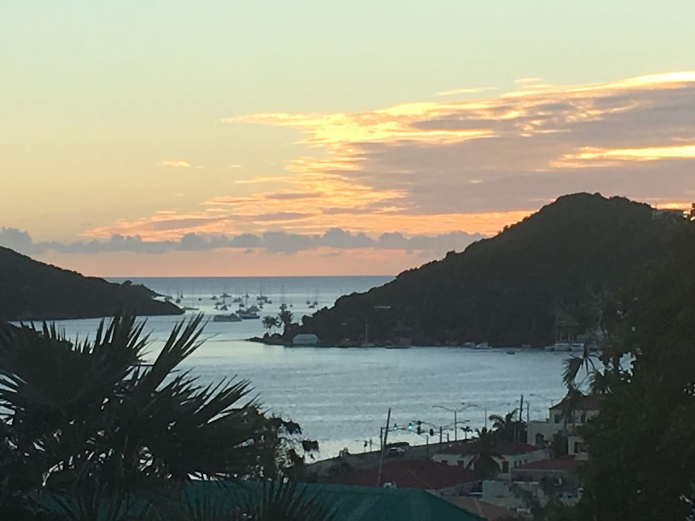 At Home in the Tropics