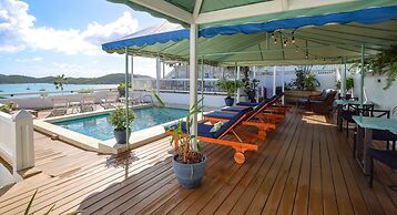 At Home in the Tropics