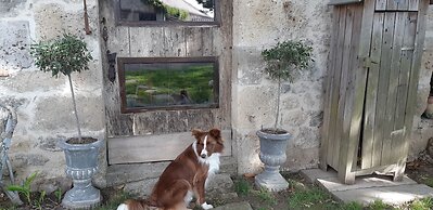 Au Bonheur d'Alphonse
