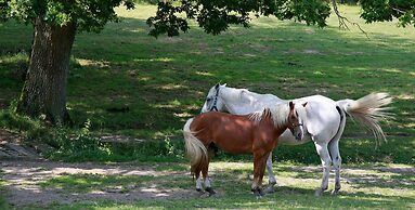 Domaine le Muret