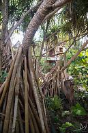 Casa Umoja Guesthouse
