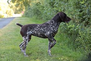 Relais de chasse la Chaignaie