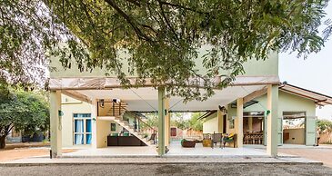 Forestville Yala