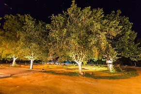 Forestville Yala