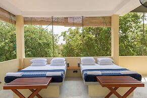 Forestville Yala