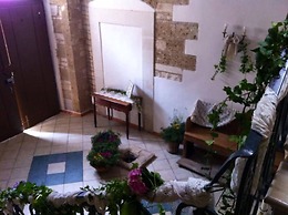B&B Savarini