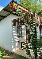 Tribal Pai Backpackers - Adults Only