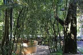 DreamWoods