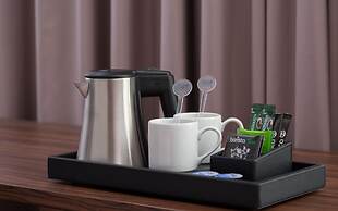 Radisson Hotel & Congress Center Saransk