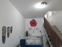 Hotel Simona