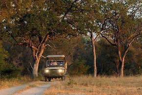Rhino Walking Safaris