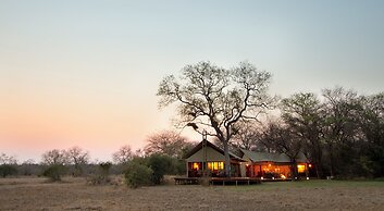 Rhino Walking Safaris
