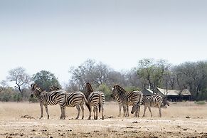 Rhino Walking Safaris