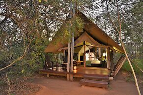 Rhino Walking Safaris