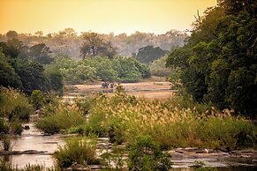 Rhino Walking Safaris