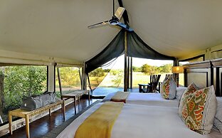 Rhino Walking Safaris