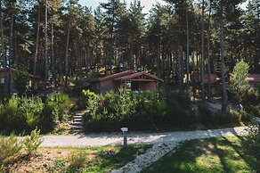Les Chalets du Haut-Forez