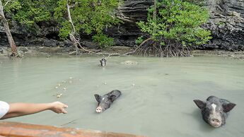 Janpa Resort