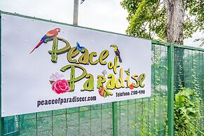 Peace of Paradise
