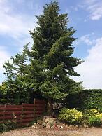 Fir Tree B&B at Galvelbeg House