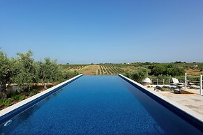 Momentum Resort