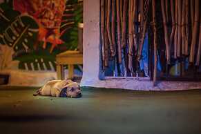 Daytripper Hostel