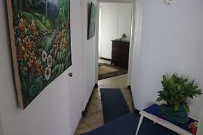 Beach Palm Villa