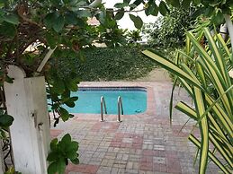 Palms of Liguanea