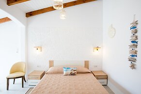 Bivalvia Beach Plus