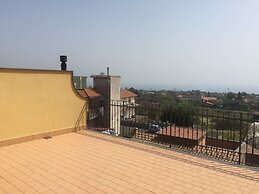 Gli Ulivi dell'Etna