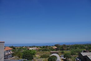 Gli Ulivi dell'Etna
