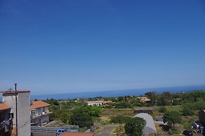 Gli Ulivi dell'Etna