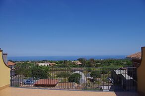 Gli Ulivi dell'Etna