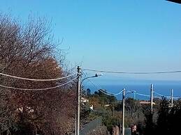 Gli Ulivi dell'Etna
